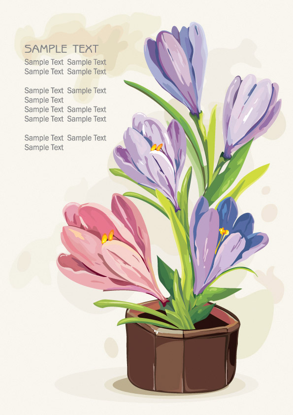 Pots of flowers (20765) Free EPS Download / 4 Vector